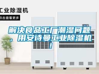 企業(yè)新聞解決食品工廠潮濕問題，用安詩曼工業(yè)除濕機！