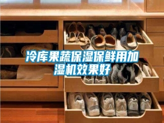 行業(yè)新聞冷庫果蔬保濕保鮮用加濕機效果好