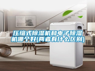行業(yè)新聞壓縮式除濕機和電子除濕機哪個好(兩者有什么區(qū)別)