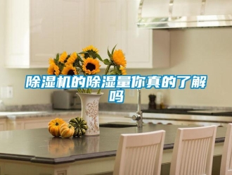 常見(jiàn)問(wèn)題除濕機(jī)的除濕量你真的了解嗎