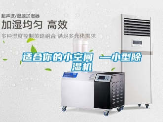 知識百科適合你的小空間 —小型除濕機