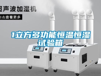 常見(jiàn)問(wèn)題1立方多功能恒溫恒濕試驗(yàn)箱