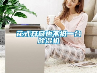 行業(yè)新聞花式開窗也不抵一臺(tái)除濕機(jī)