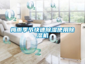 行業(yè)新聞梅雨季節(jié)快速除濕使用除濕機