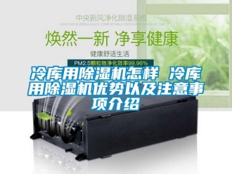 行業(yè)新聞冷庫用除濕機怎樣 冷庫用除濕機優(yōu)勢以及注意事項介紹