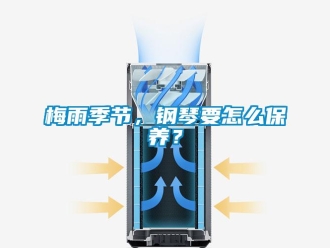 常見問題梅雨季節(jié)，鋼琴要怎么保養(yǎng)？