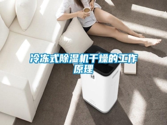 行業(yè)新聞冷凍式除濕機(jī)干燥的工作原理