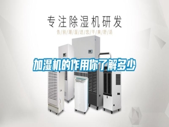 行業(yè)新聞加濕機(jī)的作用你了解多少