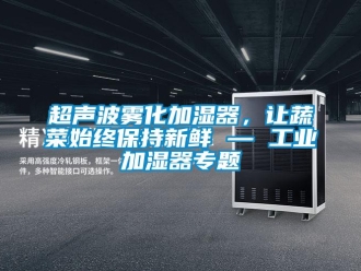 企業(yè)新聞超聲波霧化加濕器，讓蔬菜始終保持新鮮 — 工業(yè)加濕器專題