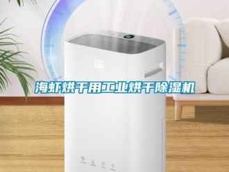 行業(yè)新聞海蝦烘干用工業(yè)烘干除濕機(jī)