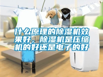 行業(yè)新聞什么原理的除濕機(jī)效果好，除濕機(jī)是壓縮機(jī)的好還是電子的好