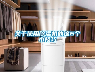 行業(yè)新聞關于使用除濕機的這6個小技巧