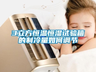 常見問(wèn)題3立方恒溫恒濕試驗(yàn)箱的制冷量如何調(diào)節(jié)
