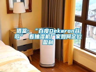 常見問題借鑒：“百度Dekaron谷歌” 看抽濕機(jī)廠家如何定位盈利