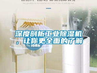 知識(shí)百科深度剖析工業(yè)除濕機(jī)，讓你更全面的了解