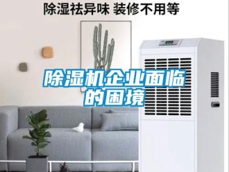 常見問題除濕機(jī)企業(yè)面臨的困境