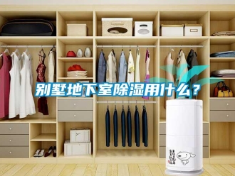 企業(yè)新聞別墅地下室除濕用什么？