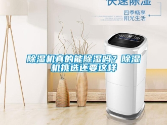 常見問題除濕機真的能除濕嗎？除濕機挑選還要這樣