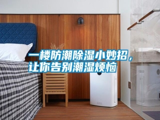 知識百科一樓防潮除濕小妙招，讓你告別潮濕煩惱