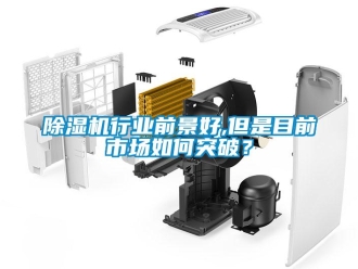 常見問題除濕機行業(yè)前景好,但是目前市場如何突破？