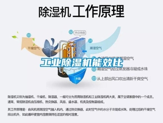 企業(yè)新聞工業(yè)除濕機(jī)能效比