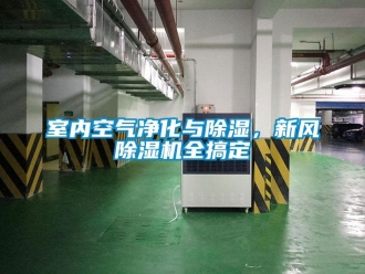 知識(shí)百科室內(nèi)空氣凈化與除濕，新風(fēng)除濕機(jī)全搞定