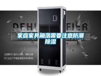 行業(yè)新聞家庭家具角落需要注意防潮除濕