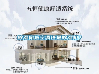 企業(yè)新聞除濕你選空調(diào)還是除濕機(jī)？