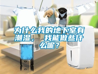 企業(yè)新聞為什么我的地下室有潮濕， 我能做些什么呢？