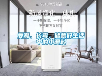 知識(shí)百科受潮、長(zhǎng)霉，儲(chǔ)藏好生活中的小調(diào)料