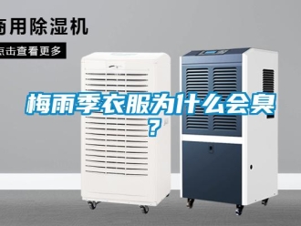 行業(yè)新聞梅雨季衣服為什么會(huì)臭？