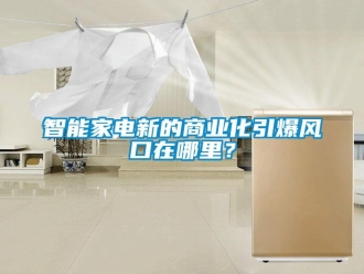 知識(shí)百科智能家電新的商業(yè)化引爆風(fēng)口在哪里？