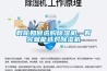 教你如何選購除濕機，看完就能選對除濕機