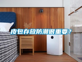 行業(yè)新聞皮包存放防潮很重要？