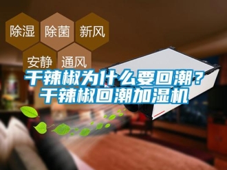 企業(yè)新聞干辣椒為什么要回潮？干辣椒回潮加濕機