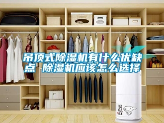 行業(yè)新聞吊頂式除濕機(jī)有什么優(yōu)缺點 除濕機(jī)應(yīng)該怎么選擇