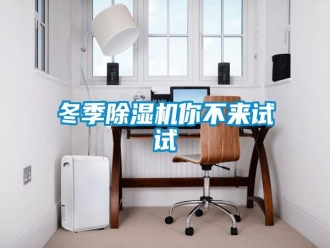 企業(yè)新聞冬季除濕機(jī)你不來試試