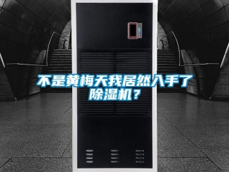 企業(yè)新聞不是黃梅天我居然入手了除濕機(jī)？