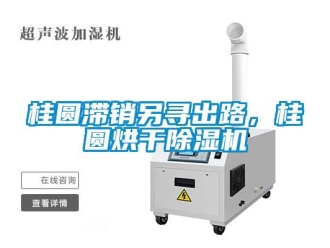 行業(yè)新聞桂圓滯銷另尋出路，桂圓烘干除濕機(jī)