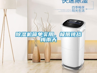 常見問題除濕機簡單實用，極限挑戰(zhàn)梅雨天