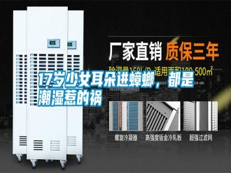 常見問題17歲少女耳朵進蟑螂，都是潮濕惹的禍