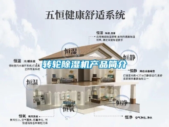 知識百科轉(zhuǎn)輪除濕機(jī)產(chǎn)品簡介