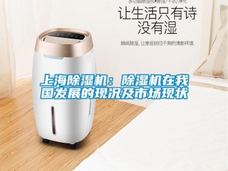 行業(yè)新聞上海除濕機(jī)：除濕機(jī)在我國(guó)發(fā)展的現(xiàn)況及市場(chǎng)現(xiàn)狀