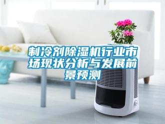 行業(yè)新聞制冷劑除濕機(jī)行業(yè)市場(chǎng)現(xiàn)狀分析與發(fā)展前景預(yù)測(cè)