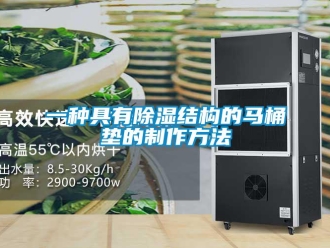 企業(yè)新聞一種具有除濕結構的馬桶墊的制作方法