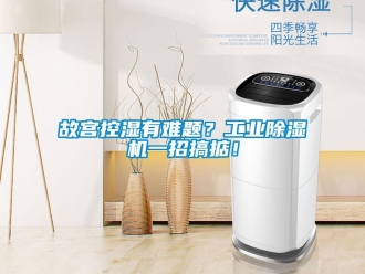 企業(yè)新聞故宮控濕有難題？工業(yè)除濕機(jī)一招搞掂！