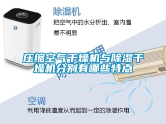 行業(yè)新聞壓縮空氣干燥機與除濕干燥機分別有哪些特點