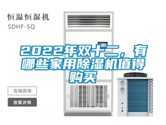 常見問題2022年雙十二，有哪些家用除濕機(jī)值得購買