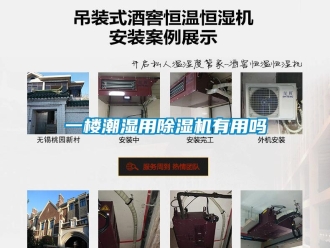 行業(yè)新聞一樓潮濕用除濕機有用嗎