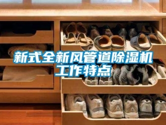 知識(shí)百科新式全新風(fēng)管道除濕機(jī)工作特點(diǎn)